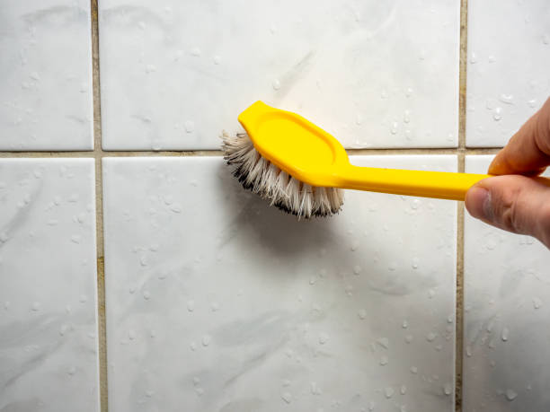 Best Certified Mold Removal  in Dravosburg, PA