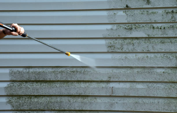 Mold Removal Process in Dravosburg, PA