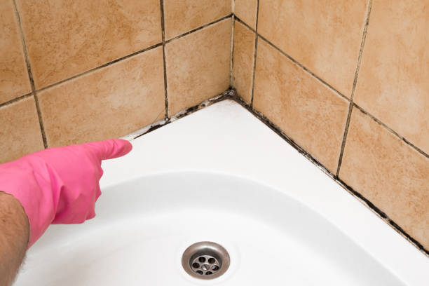 Best Mold Testing  in Dravosburg, PA